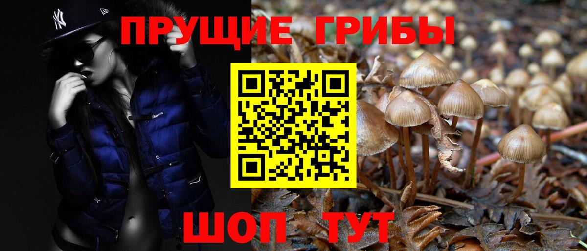 Псилоцибиновые грибы Magic Shrooms  Вход с VPN  Красноярск 