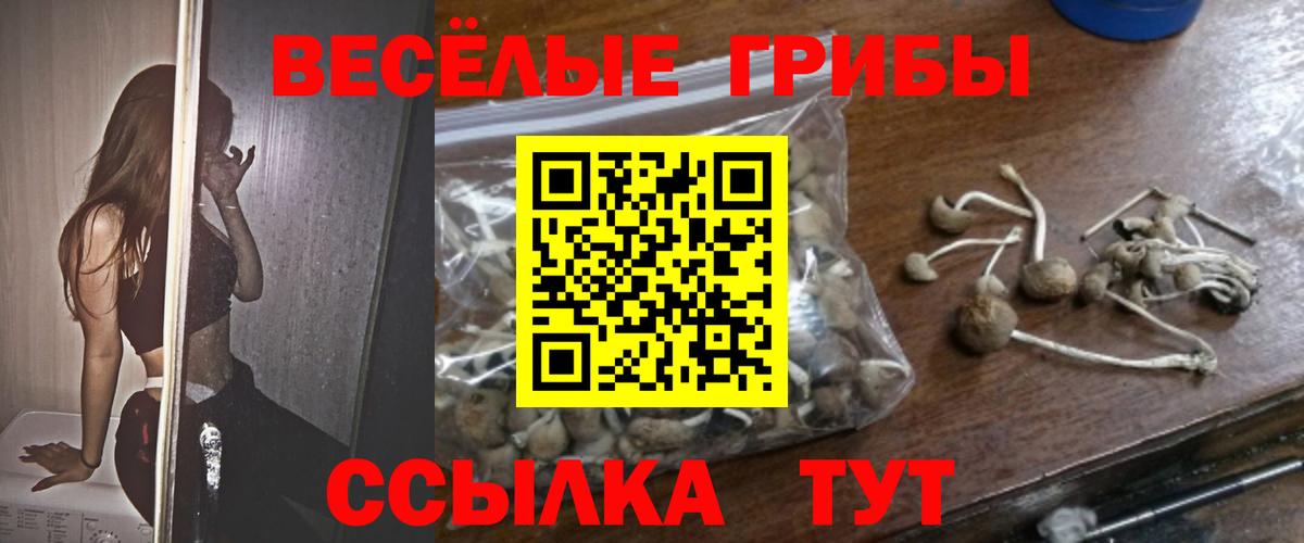 Галлюциногенные грибы мухоморы Красноярск